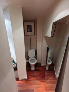 een kleine badkamer met een toilet en 2 wastafels bij chambre canal st martin in Parijs