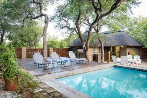 un patio trasero con piscina y sillas y una casa en Nkanyi Wildlife House & Cottage, en Hoedspruit