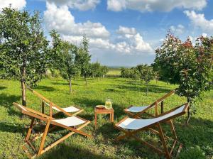 two chairs and a table in an apple orchard at Mila Vila Fruška Gora in Irig