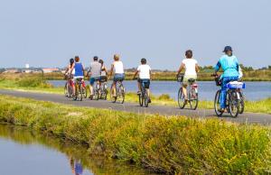 un grupo de personas montando bicicletas por un camino en Huttopia Ars-en-Ré, en Ars-en-Ré