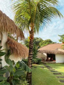 una palmera en un patio al lado de un edificio en The Apartments Umalas, en Canggu