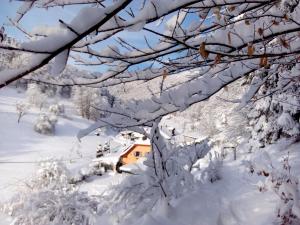 a snow covered forest with a house in the background at Abri de jardin aménagé, chambre Camping Glamour in Lalaye
