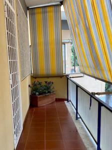 un couloir avec deux portes et une plante sur un balcon dans l'établissement Chez Nous, à Ladispoli