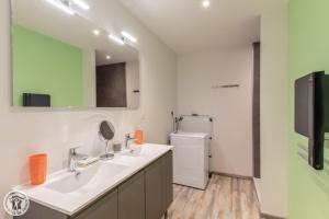 a bathroom with a sink and a small refrigerator at Gite Annecy 102 - Au Royaume des Castors - STUDIO 102 in Doussard