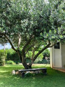 Gallery image of Goldfinch Estate in Banjole