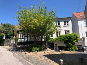 uma árvore em frente a um edifício branco em Huset ved springvandet em Randers