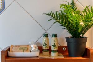 ein Regal mit zwei Flaschen Getränken und einer Topfpflanze in der Unterkunft Casello A1, Modena sud - Villa Aurora Charming Rooms in Modena