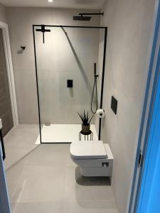 ニューキーにあるBeachside Apartmentのトイレとシャワー付きの白いバスルーム