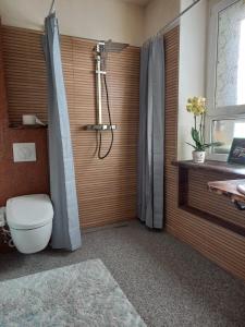 a bathroom with a shower and a toilet in it at Dhamma-Retreat in Berlin in Berlin