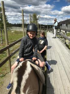 uma criança montada nas costas de um elefante em Luxury cabin in the mountains with all facileties em Sønstebø