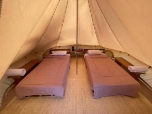 a tent with two beds in the middle at Alamu Eco Lodge in Bedugul