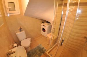 a small bathroom with a toilet and a shower at Villa Eoli Corfu in Ágios Prokópios
