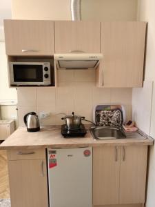 eine kleine Küche mit einem weißen Kühlschrank und einer Spüle in der Unterkunft Sadyba Margaryta in Truskawez
