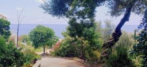 Zdjęcie z galerii obiektu Villa Magnolia w mieście Santa-Maria-di-Lota