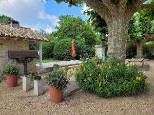 un jardin avec des plantes en pot, un banc et un arbre dans l'établissement MAS TAREAU LE DAMIER, à Beaucaire