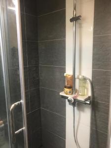 baño con ducha y puerta de cristal en Bel appartement Montparnasse 70m2 en París