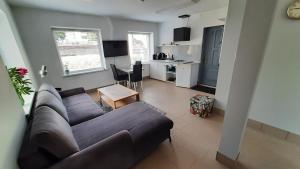 sala de estar con sofá y cocina en Ausros 19 flat en Utena