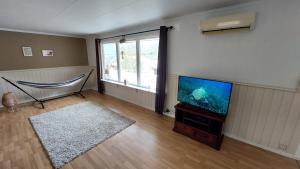 a living room with a flat screen tv next to a window at Holiday home on Senja in Grashopen