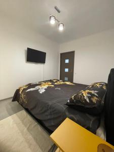een slaapkamer met een bed en een tv aan de muur bij Apartament Melanie in Oradea