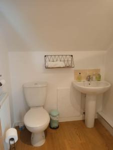 a bathroom with a toilet and a sink at Lovely Wee House in Lundin Links perfect beaches in Lundin Links