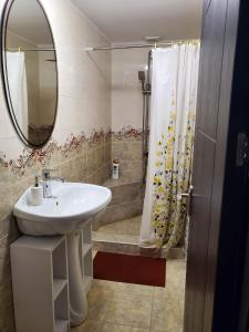 Ванная комната в DIOSKURIA BORJOMi