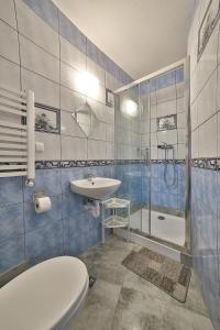 ザコパネにあるWilla u Renaty - Widok na Giewontのバスルーム(トイレ、洗面台、シャワー付)