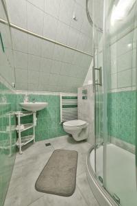 uma casa de banho com um WC, um lavatório e um chuveiro em Willa u Renaty - Widok na Giewont em Zakopane