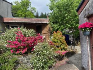 un grupo de flores frente a un edificio en Sir Andrew Murray House en Strathyre