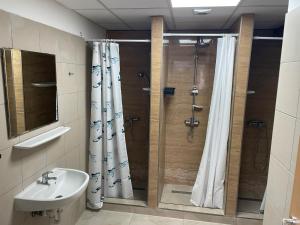 a bathroom with a shower and a sink at Viola Hostel in Budapest +10 photos