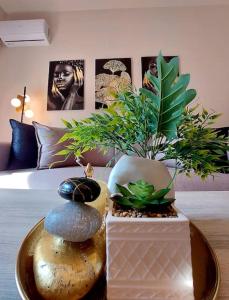 ein Tablett mit einigen Pflanzen auf dem Tisch in der Unterkunft Cherry's apartment in Alonnisos Altstadt