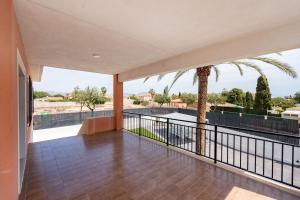 a balcony with a palm tree and a view at Villa Mimosa San Vicente del Raspeig in San Vicente del Raspeig