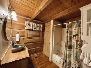 a bathroom with a sink and a shower in a cabin at Peaceful Tellico View Home with Private Hot Tub in Tellico Plains