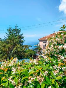a hedge of flowers in front of a house at Il Nido sullo Scoglio in Bonassola