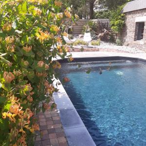 a swimming pool in front of a house at Le Val Daninière in Le Mesnil-Garnier