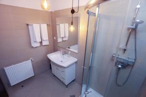 La salle de bains est pourvue d'un lavabo et d'une douche. dans l'établissement Hotel Dusan si Fiul Resita Sud, à Reşiţa