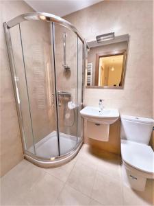 La salle de bains est pourvue d'une douche, de toilettes et d'un lavabo. dans l'établissement Apartamentos Del Pisuerga, à Cervera de Pisuerga