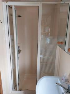 La salle de bains est pourvue d'une douche avec une porte en verre. dans l'établissement Mobilní dům Rimini a Monaco v kempu ve Výrovicích, à Výrovice