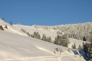 a snow covered slope with trees on a mountain at La Ferme du Nant - Portes du Soleil in La Chapelle-dʼAbondance