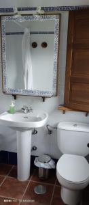a bathroom with a toilet and a sink at Albergue el Caseron de Fuentes Carrionas in Cardaño de Abajo