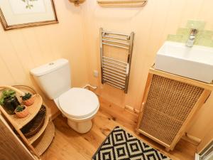 a bathroom with a toilet and a sink at Bracken Fern in Richmond