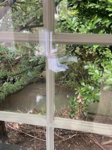 a window with a view of a pond outside at Robin's Nest - a self contained detached annex with sky sports & movies in Newborough