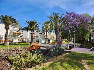 park z palmami i fioletowymi kwiatami w obiekcie Casa de Mariposas w Aronie