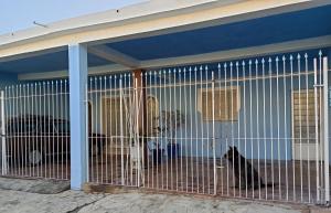 グアラティンゲタにあるCASA de 2 QUARTOSの檻の中に座る犬