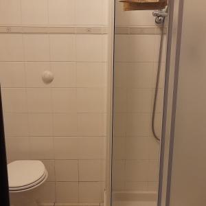 La salle de bains est pourvue d'une douche et de toilettes. dans l'établissement Casa Giardino, à Spotorno