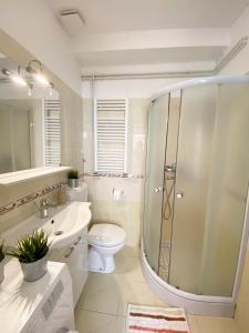W łazience znajduje się prysznic, toaleta i umywalka. w obiekcie Apartments Centurio Pula w Puli
