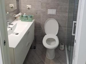 La salle de bains est pourvue de toilettes, d'un lavabo et d'une douche. dans l'établissement La Rosa Verde, à Castrovillari