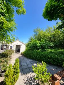 einen Gehweg zu einem weißen Haus mit Büschen in der Unterkunft Oak Cottage 3 km from Rock of Cashel in Cashel