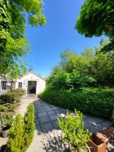 een loopbrug naar een wit huis met struiken bij Oak Cottage 3 km from Rock of Cashel in Cashel