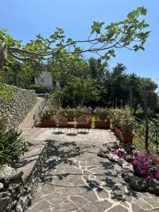 Zahrada ubytování Maera B&B Ravello