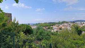 a view of a city with trees and buildings at Passariello in Ischia